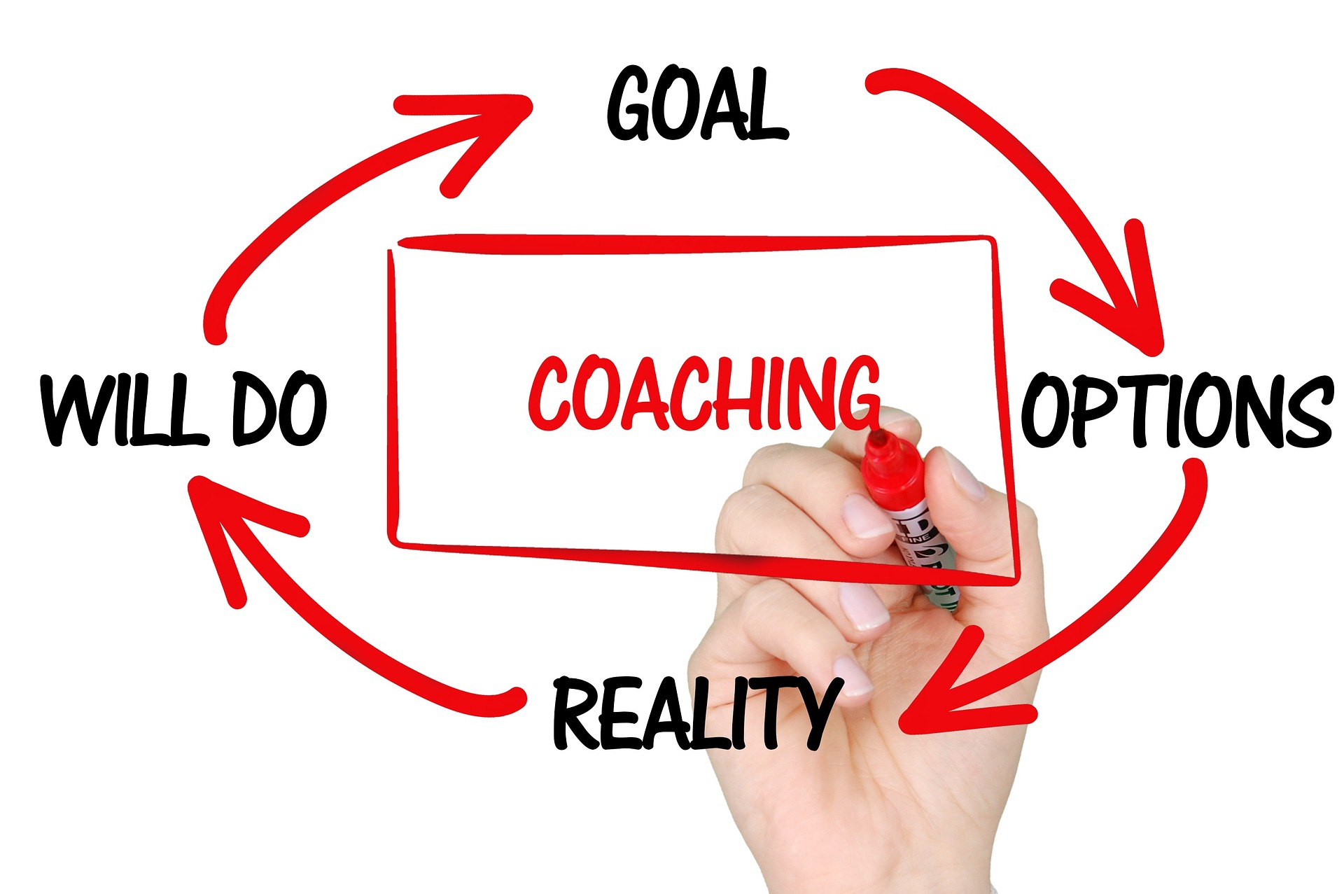 Mentoring und Coaching für die eigene Karriere